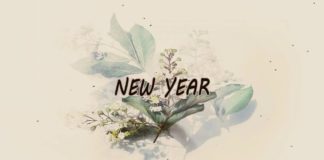 (Afrobeat) “New Year” Davido x Peruzzi x Joeboy Type Pop Beat (Prod by Zion Beatz)