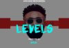 Afrobeat Instrumental 2020 – “Levels” Rema x Crayon Type Beat (Prod by Mykah)