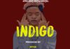 Afrobeat x Hip Hop Instrumental – “INDIGO” Chris Brown X Crayon Type Beat (Prod by Mykah)
