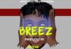 Afrobeat Instrumental – “Breez” JoeBOY X Zlatan Type Beat (Prod by Mykah)