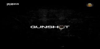 Download Instrumental: Peruzzi – Gunshot (Beat by Mykah) Peruzzi - Gunshot (Instrumental) Reproduced by Mykah
