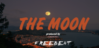 Hip Hop Instrumental – “The Moon” Valentine Type Beat (Prod By Tuneprince)