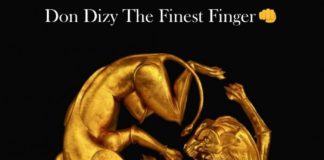 Download Instrumental: Beyonce ft Burna Boy – Ja Ara E (Beat by Don Dizy)