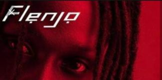 Download Instrumental: Fireboy – Flenjo (Prod by Festbeatz)