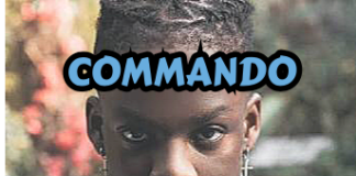 Afropop Instrumental 2020 – “Commando” Rema X Wizkid X Davido Type Beat (Prod By Fizzybeat)
