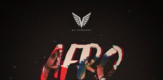 Dj Vyrusky Ft. Shatta Wale – Afrodance Official Instrumental (Prod by TellembeatzGo)