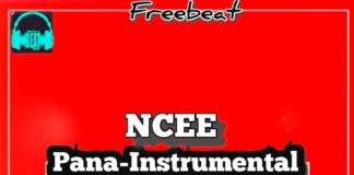 Download Instrumental: Ncee – Pana (Beat Remake by Fan-c Beatzz)