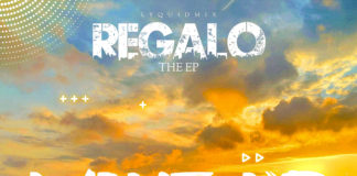 Download Instrumental: Lyquidmix – Wake Up ft Ttrick Instrumental (Prod by Lyquidmix)