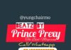 Free Afrobeat Dance Instrumental – “Sweet Something” Naira Marley x Zlatan Type Beat (Prod by Prince Prexy)