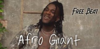 Afrobeat Instrument – “Afro Giant” Burna Type Beat (Prod by ThankG)