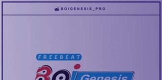 Afro Dancehall Instrumental – “Don’t Bother Me” Peruzzi Type Beat (Prod by Boi Genesis)