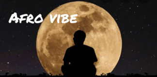 Free Afrobeat instrumental – Wizkid Type Beat (Prod by geezy dams)
