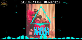 Afrobeat Instrumental – “Manna” Tzy Panchak X Wizkid Type Beat 2020 (Prod by Gentle Boy)