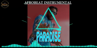 Afrobeat Instrumental – “Paradise” Meleek Berry X Runtown X Wizkid Type Beat (Prod by Gentle Boy)