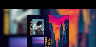 Fireboy – New York City Girl (Instrumental)
