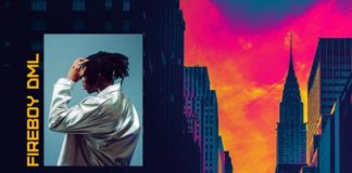 Fireboy DML – New York City Girl Instrumental (Prod by Littlefingers)