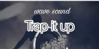 Free Trap Instrumental: Trap It Up – Nasty C Type Beat (Prod by Emmystrings_beat)