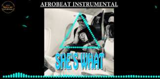 Afrobeat Instrumental – “She’s what” Wizkid x Yemi Alade x Burna Boy Type Beat (Prod by. Gentle Boy)