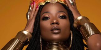 Download Instrumental: Efya ft. Bisa Kdei – Like A Brother (Prod by TellembeatzGo)