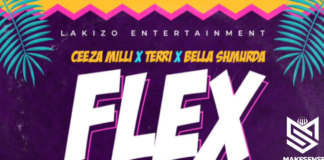 Ceezamilli x Terri x Bella Shmurda – FLEX Instrumental (Reproduced By Makesense)