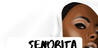 Afrobeat Instrumental: Senorita – Kiddominant x Davido Type Beat (Prod By Tite Tunez X Vee Stylez)