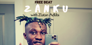 Party Jam Instrumental: Adlibs – Zanku Beat X Zlatan Type Beat (Prod By Tite Tunez)