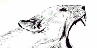 Aggressive Rap Instrumental: Puma – Meek Mill Type Beat (Prod by Akiira)