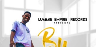 Download Freebeat: Bumaye Beat – Zlatan Type Beat (Prod by DJ Lummie)