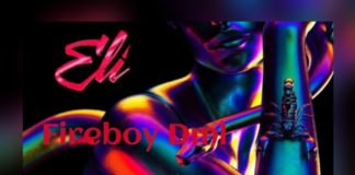 Fireboy – Eli Instrumental (Prod by Bguy Beats)