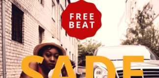 Download FreeBeat: Sade – Joeboy x Lyta x Tekno Type Beat (Prod by Tite Tunez)