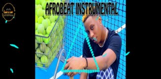 Download Freebeat: Divine – Soft x DJ Cuppy Type Beat (Prod by Gentle Boy Beatz)