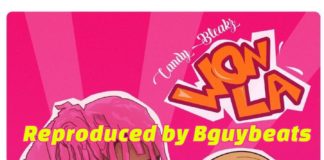 Download Instrumental: Candybleakz – Wonla (Prod by BGuy Beats)