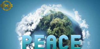 Download Freebeat: Peace – Rema Type Beat (Prod by DJ killstix)