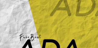 Download Freebeat: Ada – Davido Type Beat (Prod by vdadrummerboi)