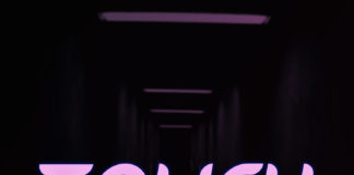 Download Freebeat: Touch – Wizkid Type Beat (Prod by Echobeatz)