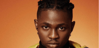 Download Freebeat: Omah Lay Type Beat (Prod. by Genesix Did-It)