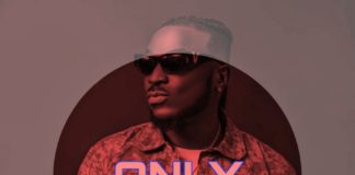 Download Freebeat: Only – Wizkid x Tems Type Beat (Prod by Echobeatz)