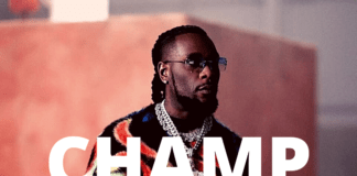 Download Freebeat: Champ – Burna Boy Type Beat (Prod by Tite Tunez)