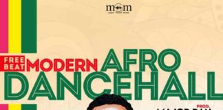 Modern Afro Dancehall Instrumental – Davido Type Beat (Prod by Major Dan)