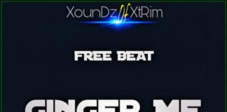 Download Freebeat: Ginger Me – Bella Shmurda Type Beat (Prod by Xperfect)