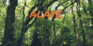 Download Freebeat: Alaye – Rema x Zinoleesky x Lil Frosh Amapiano Type Beat (Prod by Jaycee Drillz)