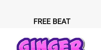 Download Freebeat: Ginger – Burna Boy x Tiwa Savage Type Beat (Prod by ThankG)