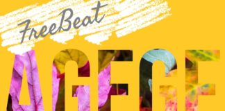 Download Freebeat: Agege – Naira Marley Type beat (Prod by Shady)
