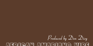 Download Freebeat: African Amapiano Vibe – Niniola x Yemi Alade Type Beat (Prod by Don DIzy)