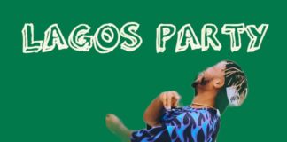 Download Freebeat: Lagos Party – Zlatan Type Beat (Prod by Bguybeats)
