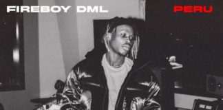 Download Instrumental: Fireboy DML – Peru (Beat By Shizzi)