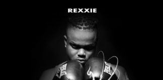 Download Instrumental: Rexxie ft Davido – ALL (Beat. By X-Tough)