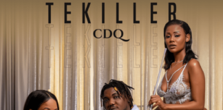 Download Instrumental: CDQ – Tekiller (Beat By Mr Tee)