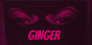 Download Freebeat: GINGER – Wizkid & Oxlade Type Beat (Prod by Naira Boy)