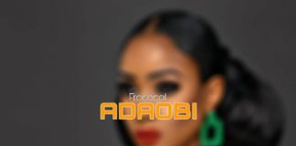 Download Freebeat: Adaobi – Yemi Alade Type Beat (Prod by Echobeatz & Shady)
